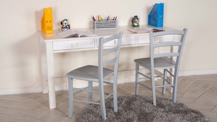 שולחן כתיבה לילדים אופיר כפול